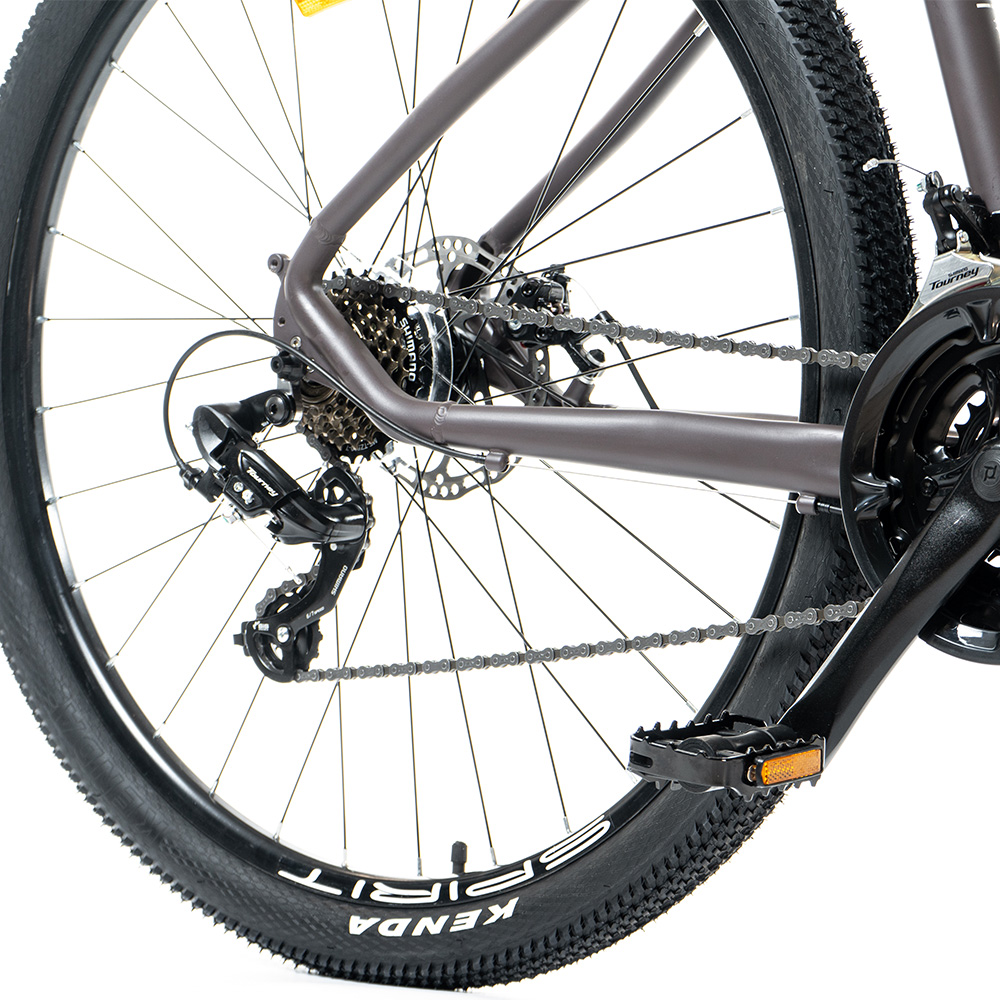 Горный велосипед Spirit Echo 9.1 29" кофейный 2021