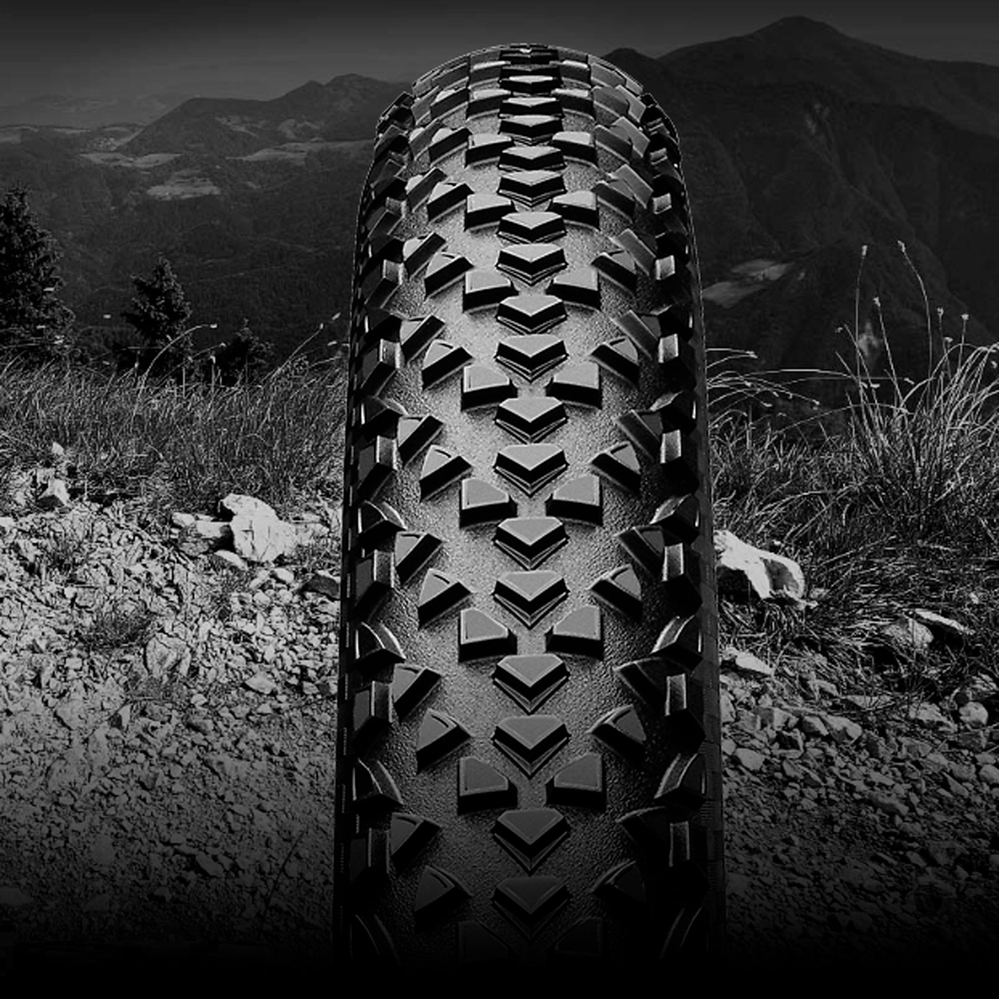 Покрышка Continental Race King Wire 29", Black Skin