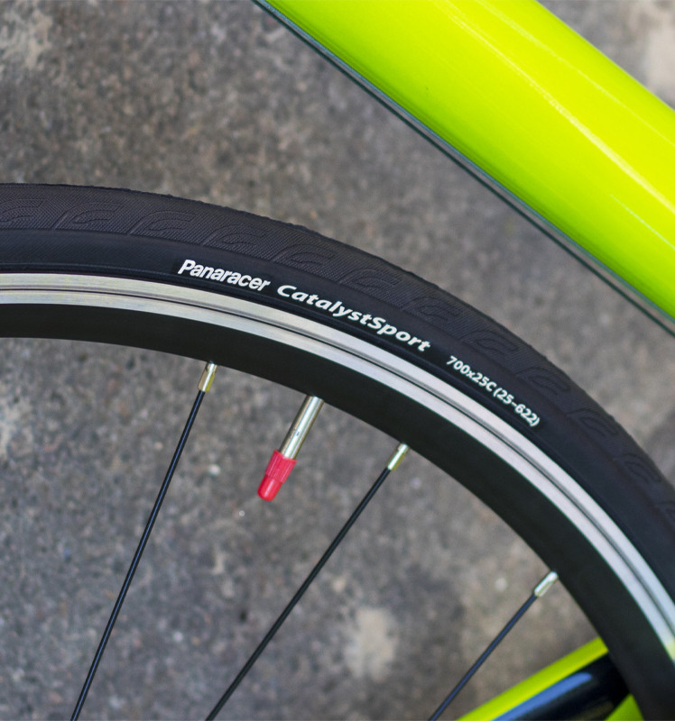 Покрышка Panaracer CatalystSport 28" (700), Black