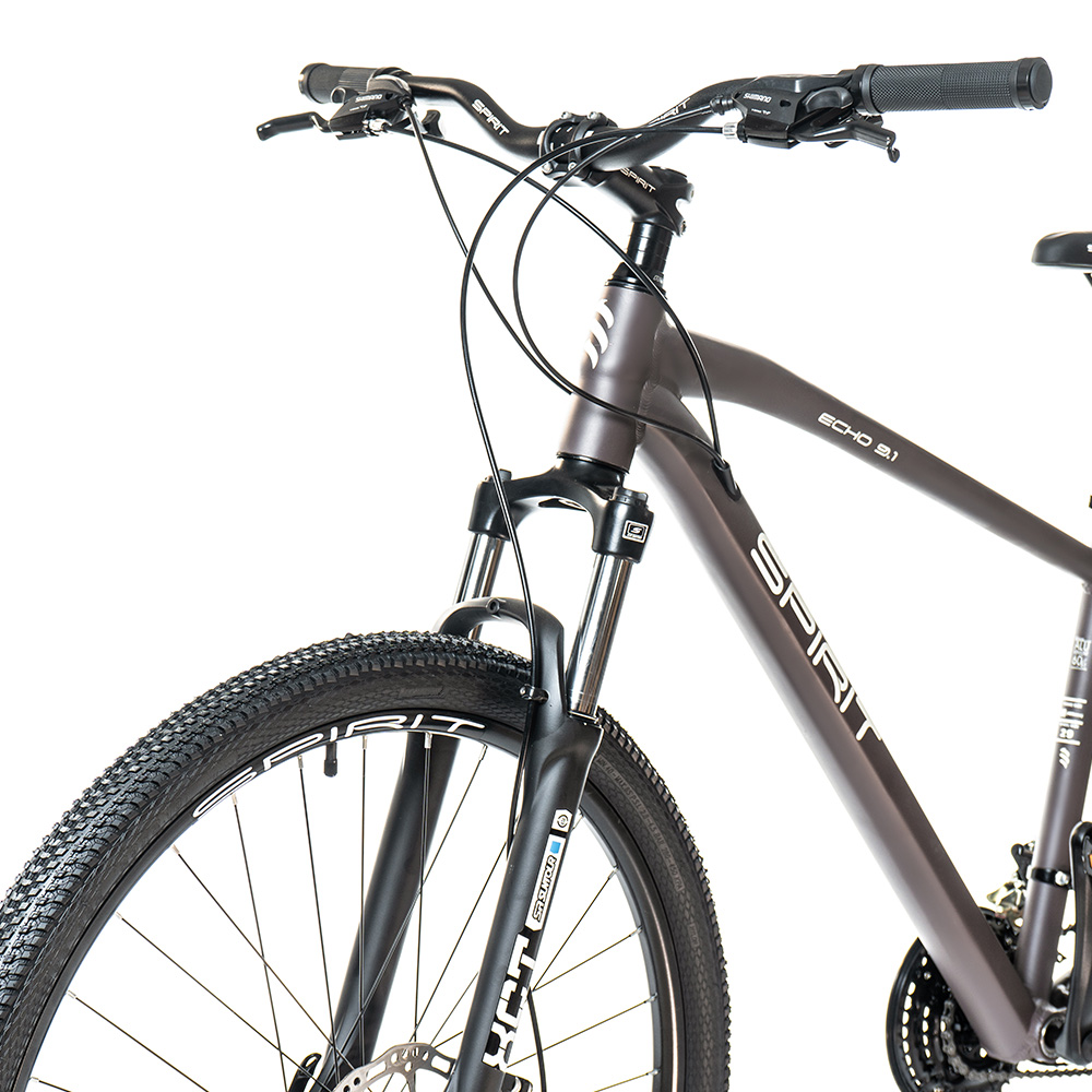 Горный велосипед Spirit Echo 9.1 29" кофейный 2021