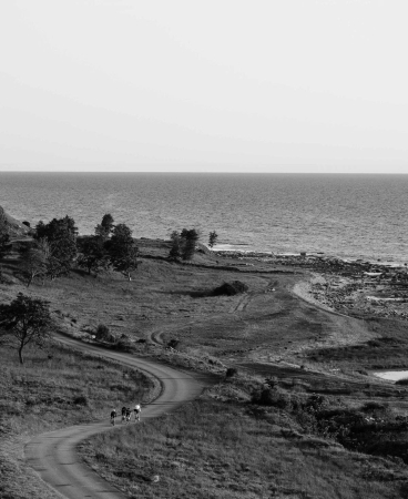 Велошлем POC Ventral Spin Zink Orange AVIP, р.L