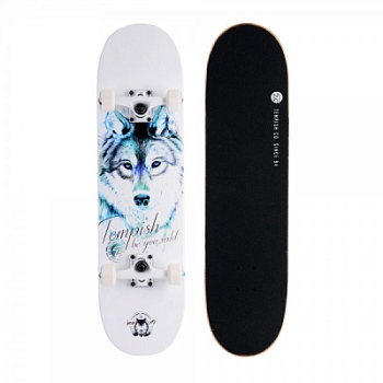 Скейтборд Tempish Blue Wolf