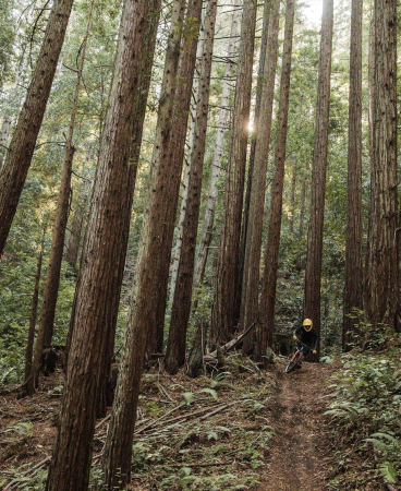 Защита корпуса POC VPD System Torso, Uranium Black, S