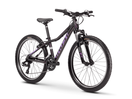 Детский велосипед Ghost Lanao Base 24" Фиолетовый 2021