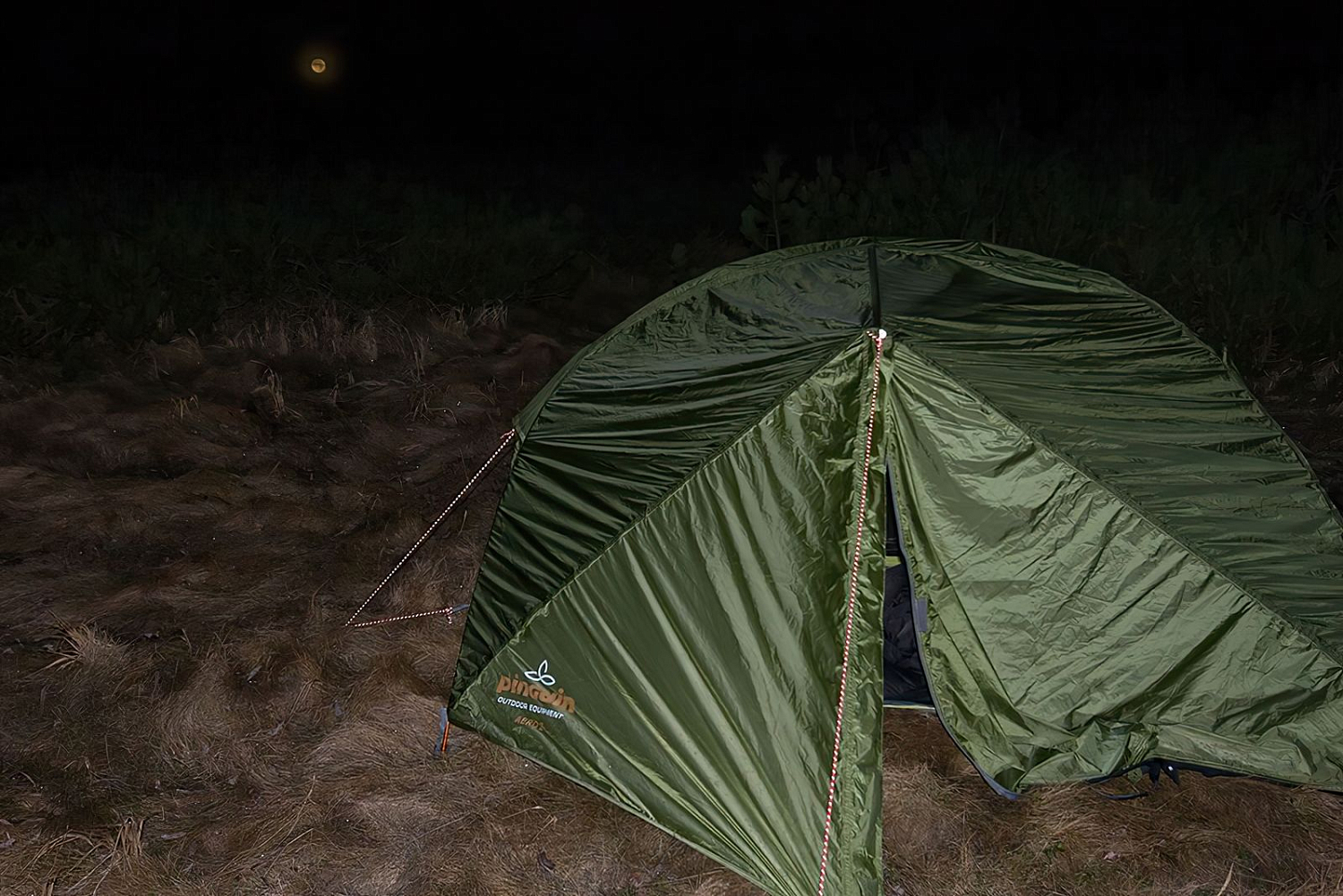 Палатка двухместная Pinguin Aero 2 DAC, Green