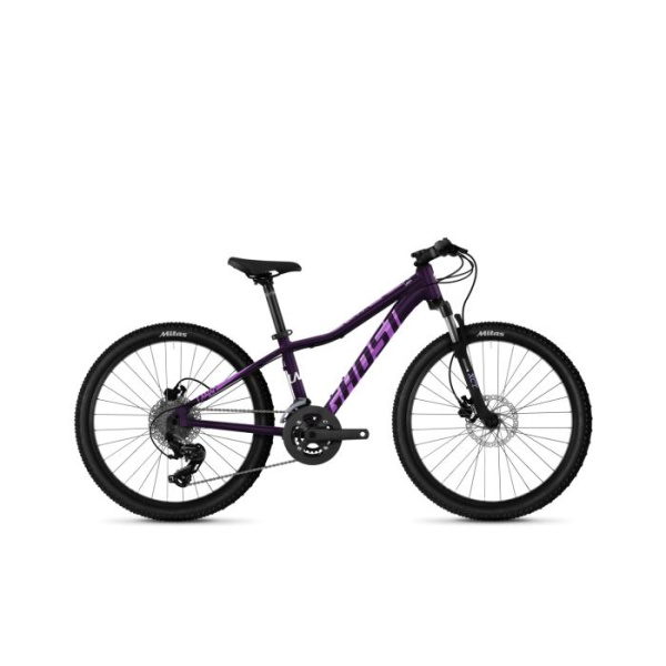 Детский велосипед Ghost Lanao Essential 20" Фиолетовый 2021