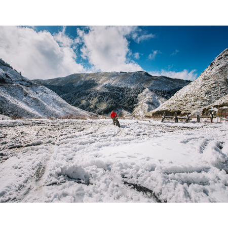 Велосумка на руль Birzman Packman Travel Handlebar Pack (with waterproof carrier), 9.5 л