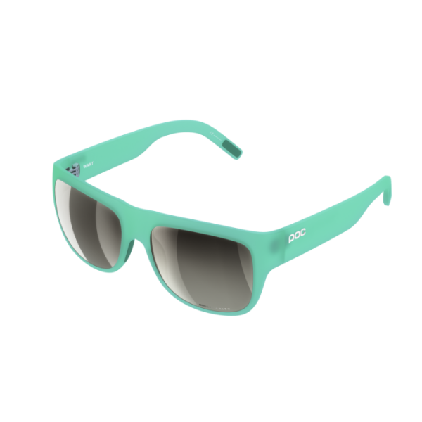 Солнцезащитные очки POC Want Fluorite Green